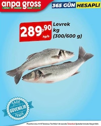 Levrek kg 300/600 g 