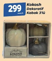 Kokosh Dekoratif Kabak 3'lü