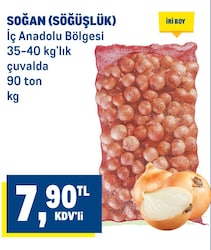 Soğan File kg