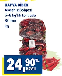 Kapya Biber Kg