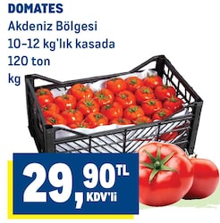 Domates Kg