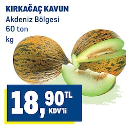 Kavun Kırkağaç Kg