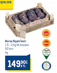Bursa Siyah İncir kg