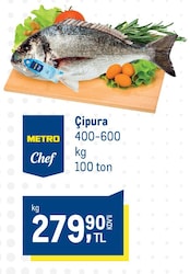 Metro Chef Çipura 400-600 kg