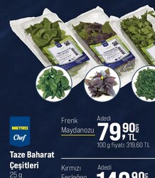Metro Chef Frenk Maydonozu 25 g