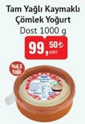 Dost Tam Yağlı Kaymaklı Çömlek Yoğurt 1000 g