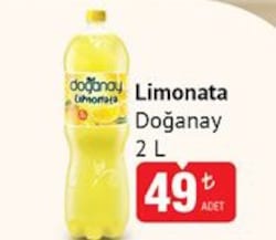 Doğanay Limonata 2 L 