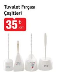 Tuvalet Fırçası Çeşitleri/Adet 