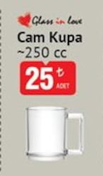 Glass İn Love Cam Kupa 250 cc