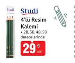 Studi 4'lü Resim Kalemi 