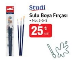 Studi Sulu Boya Fırçası 
