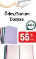Studi Şeffaf Dosya 100'lü 