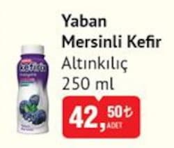 Altınkılıç Yaban Mersinli Kefir 250 ml