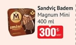 Magnum Mini Sandviç Badem 400 ml