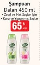 Dalan Şampuan 450 ml Çeşitleri