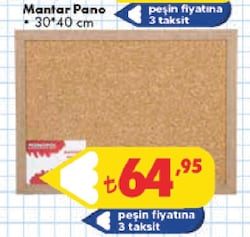 Mantar Pano 30x40 cm