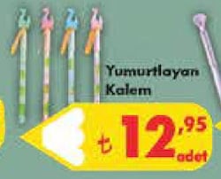 Lector Yumurtlayan Kalem
