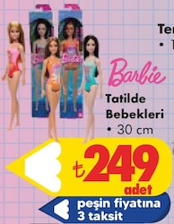Barbie Tatilde Bebekleri 30 cm 