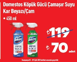 Domestos Çamaşır Sulu Köpük Çam Ferahlığı Sprey 450 ml