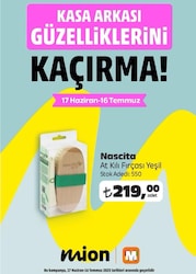 Nascita At Kılı Fırçası 12