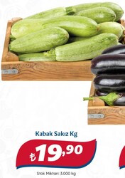Kabak Sakız Kg