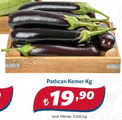 Patlıcan Kemer Kg