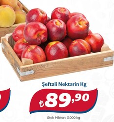 Şeftali Nektarin Kg