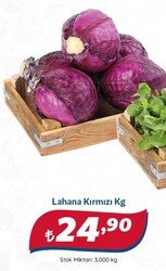 Lahana Kırmızı kg 