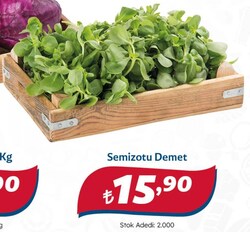 Semizotu 1 Demet