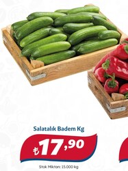Salatalık Badem kg