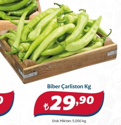 Çarliston Biber