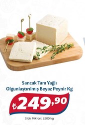 Sancak Tam Yağlı Olgunlaştırılmış Beyaz Peynir kg