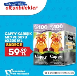 Cappy Karışık Meyve Suyu 6x200 ml