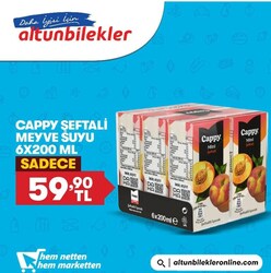 Cappy Şeftali 6X200 ml