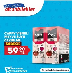 Cappy Bahçe Vişne Nektarı 6x200 ml