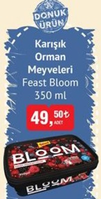 Feast Bloom Karışık Orman Meyveleri 350 ml