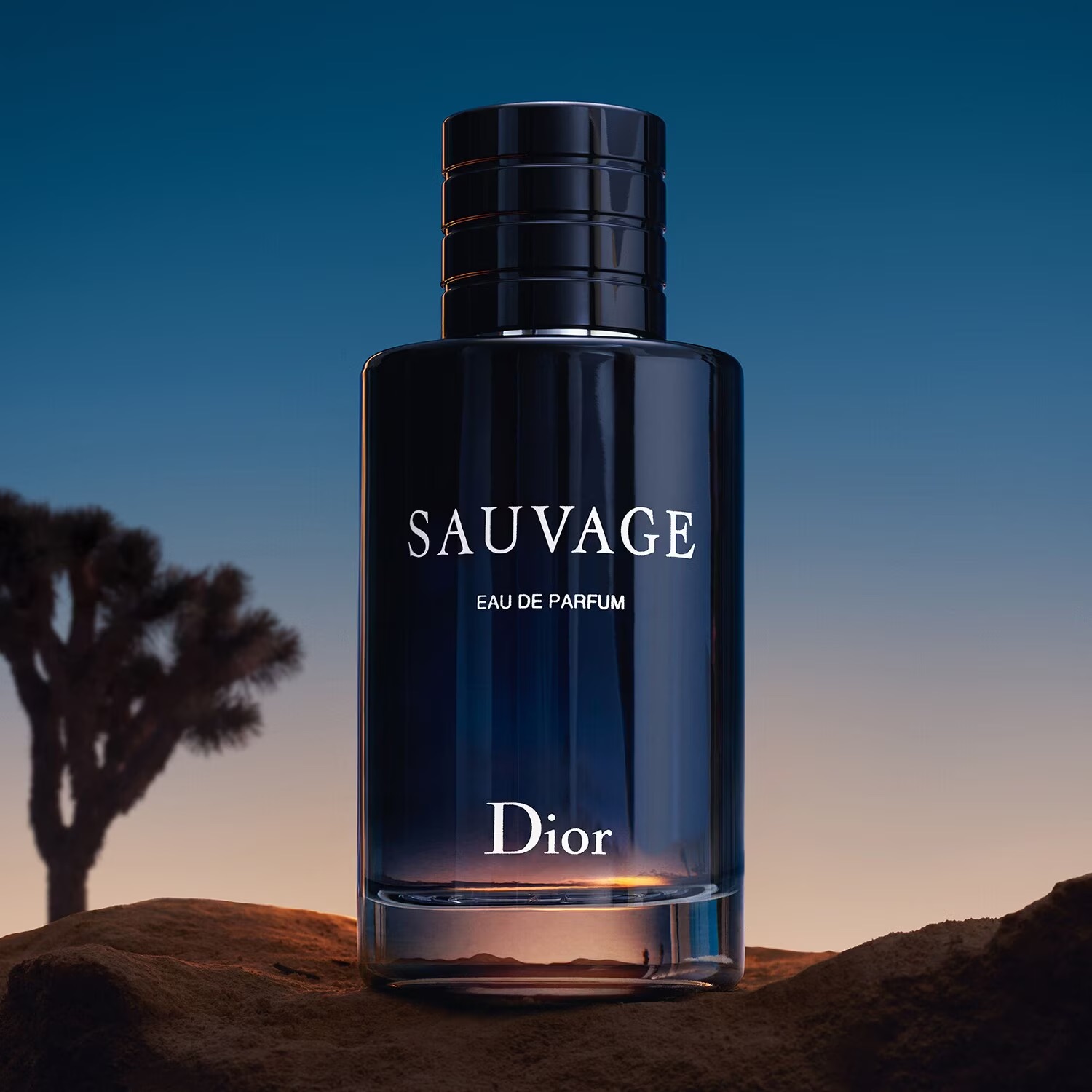 Dior Sauvage Elixir 60 ml Erkek Parfüm Fiyatları, Özellikleri ve