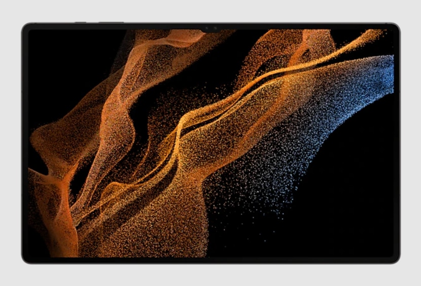 Samsung Galaxy Tab S8 Ultra Wi-Fi SM-X900 256 GB 14.6