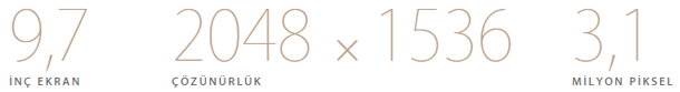 iPad Air 2