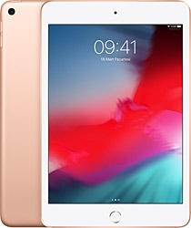 iPad Mini Wi-Fi Altın MUU62TU/A 256 GB 7.9