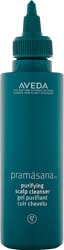 Aveda Pramasana Purifying Scalp Sebum Dengeleyici 150 ml Şampuan
