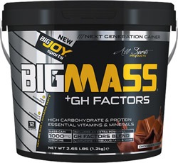 BigJoy BigMass GH Factors Karbonhidrat Tozu 1200 gr Çikolatalı