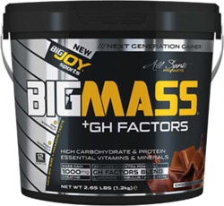 BigJoy BigMass GH Factors Karbonhidrat Tozu 1200 gr