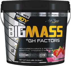 BigJoy BigMass GH Factors Karbonhidrat Tozu 3000 gr Çilekli