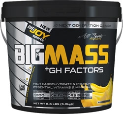 BigJoy BigMass GH Factors Karbonhidrat Tozu 3000 gr Muzlu