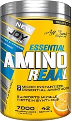 BigJoy Essential Amino Reaal 420 gr