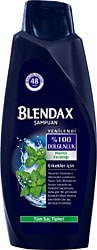 Blendax Men Mentol Ferahlığı 550 ml Şampuan