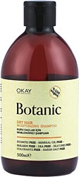 Botanic Kuru Saçlar İçin Nemlendirici 500 ml Şampuan