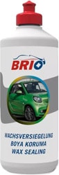 Brio 250 ml Boya Koruma