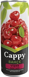 Cappy Bahçe 330 ml 12'li Paket Vişne Meyve Suyu